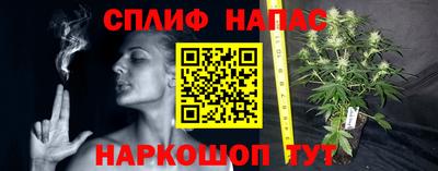 амф Усть-Джегута